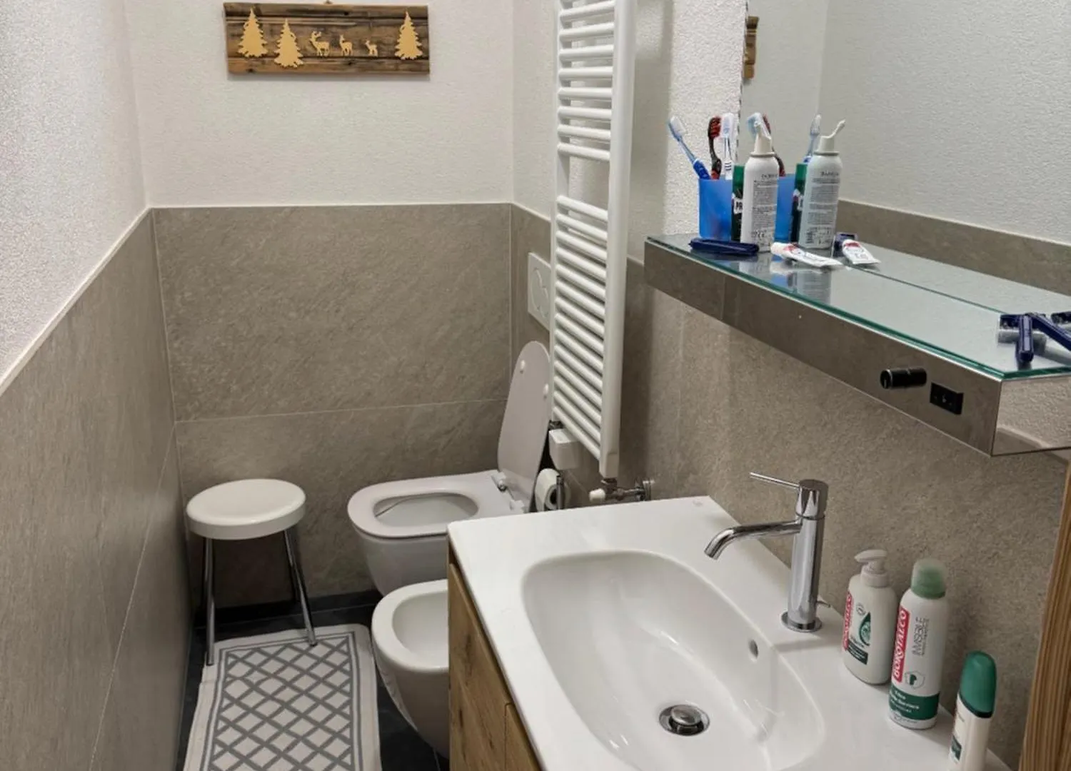 Trilocale Centralissimo Bormio Vista Piste Sci Apartment