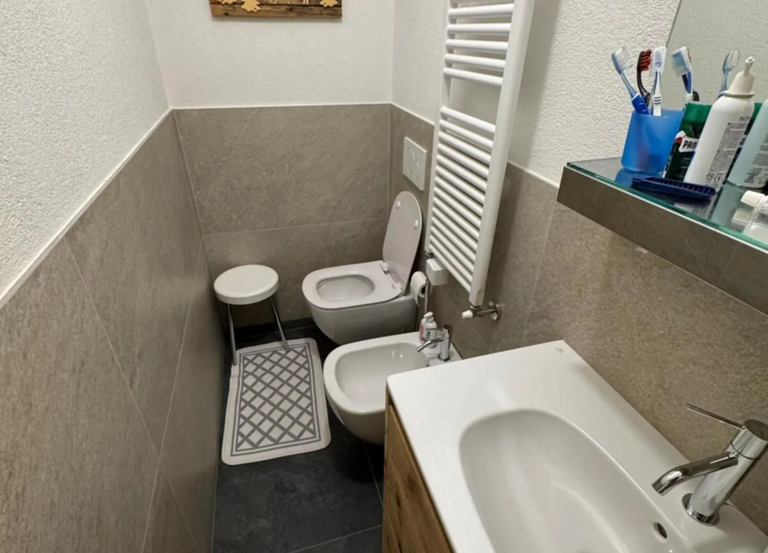 Trilocale Centralissimo Bormio Vista Piste Sci Apartment